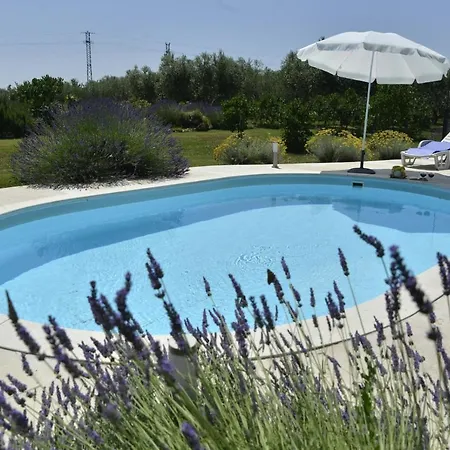Family Friendly House With A Swimming Pool Guran, Central Istria - Sredisnja Istra - 7373 Holiday home